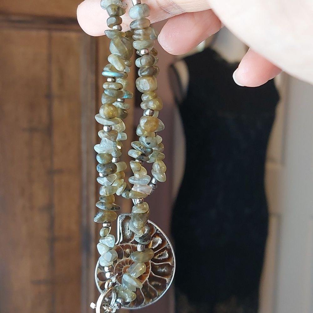 Ammonite Fossil Flashing Labradorite And Ancient … - image 8